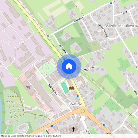 ul. Wincentego Witosa, Limanowa, limanowski, małopolskie