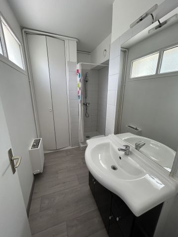 Location Appartement 1 pièce 17m² SENS 89100 - Photo 3