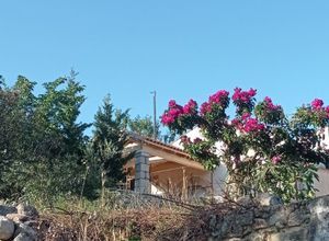 Μονοκατοικία για ενοικίαση - Βάμος, - Φωτογραφία 1