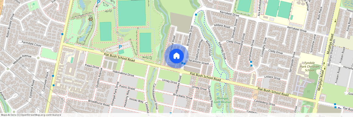 4 Whimbrel Road, Flat Bush, Manukau City