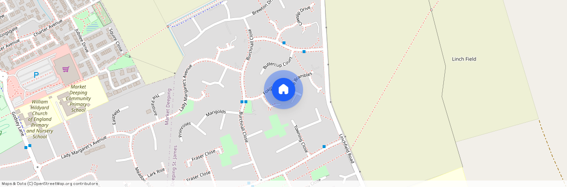 Foxgloves, Deeping St. James, PE6