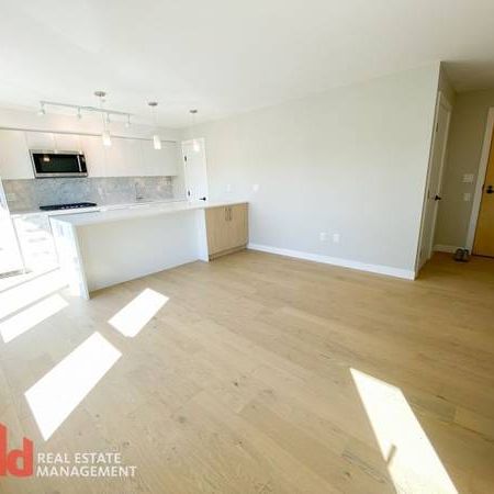 Bright & Open 1 Bedroom in Central Mount Pleasant - Photo 3