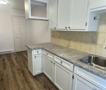 8280A Rue Courval, H1R 3L6, H1R 3L6, Montréal - Photo 6