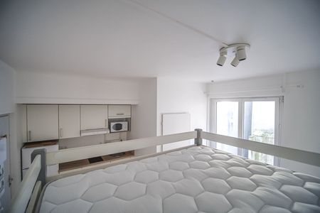 Location Appartement 1 pièce 17m² - Photo 2