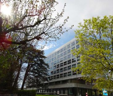 5.5 Zimmer, 114 m², 5. Stock - Foto 4