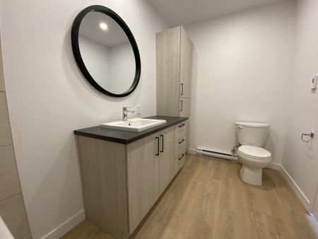 Le 1195 Lorne-Germain, Trois-Rivières - Photo 2