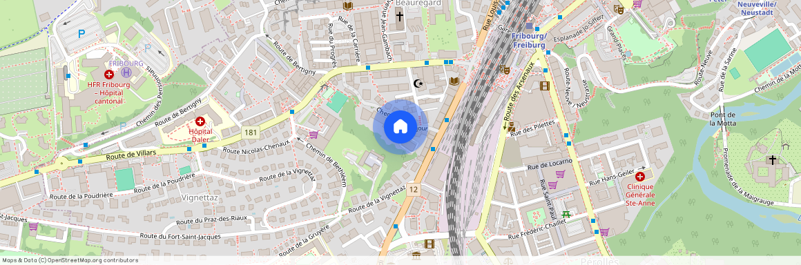 Chemin de Monséjour 6, 1700 Fribourg