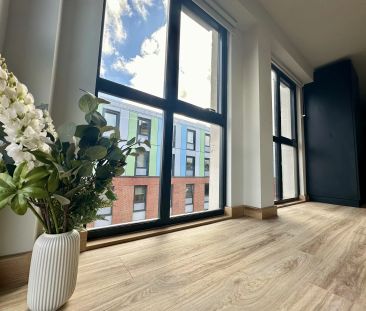 Sequoia Studio - Photo 2