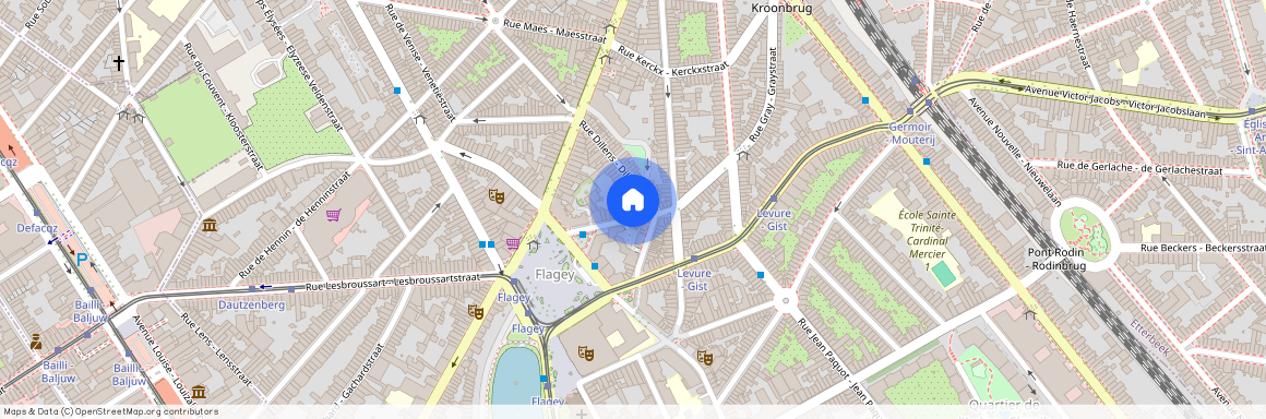 Rue des Cygnes - Zwanenstraat 44, 1050 Ixelles - Elsene, Belgium