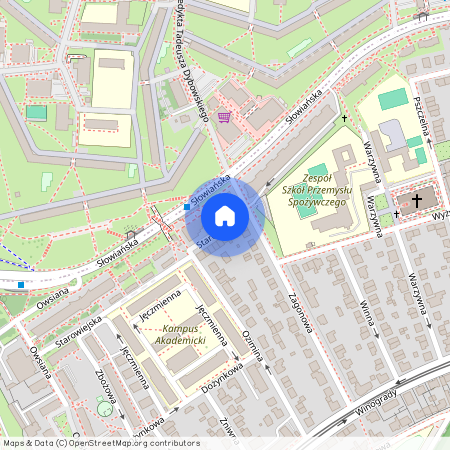 ul. Słowiańska, Winogrady, Stare Miasto, Poznań, wielkopolskie