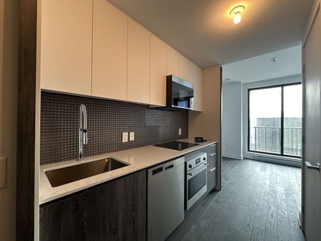 2060 Rue Peel, #1604 - Photo 2