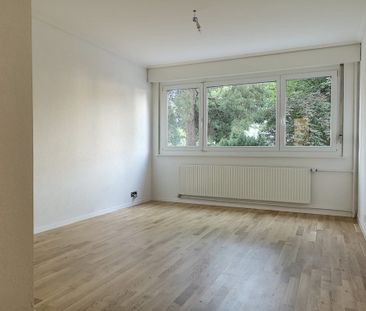 Appartement de 2.5 pièces au rez-de-chaussée - Foto 3