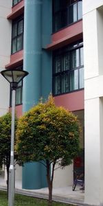 Blk 685C Jurong West Central 1 (Jurong West), HDB 5 Rooms - For Rent - Photo 4