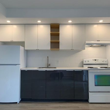BEAU LOFT – CUISINE RÉNOVÉE – VILLERAY, MONTRÉAL - Photo 3