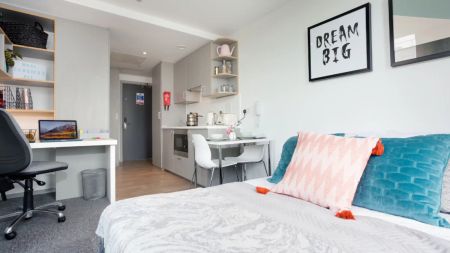 Deluxe Studio - Photo 5