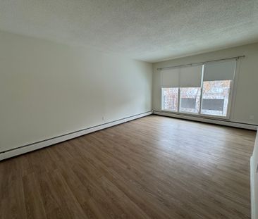 Updated 1 Bed Suite | Pet Friendly | In-Suite Laundry | Quiet Mature N - Photo 5
