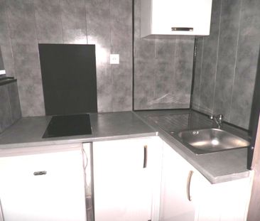 Location Appartement 1 pièce 13m² - Photo 3