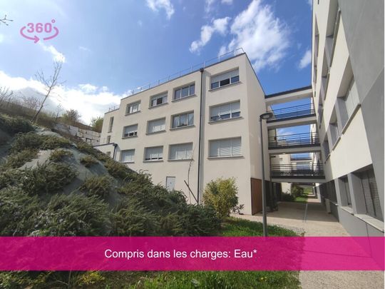 Location Appartement 2 pièces 29m² AUZEVILLE TOLOSANE 31320 - Photo 1