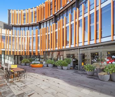 The Penthouse at ORANGE - Photo 4