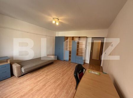 Apartament cu 1 camera, 40 mp, pet friendly, zona Piata Cipariu - Fotografie 2