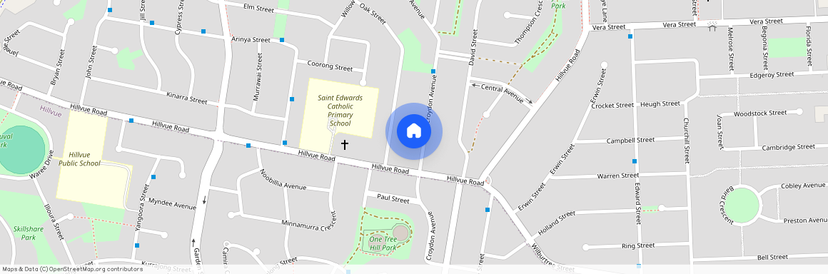 52 Croydon Avenue, NSW, 2340, South Tamworth