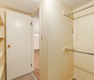 Renovated Suite - 1 Bedroom - Photo 5