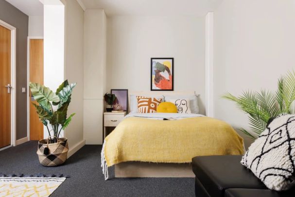 Extra Large Standard Double Studio - Photo 1