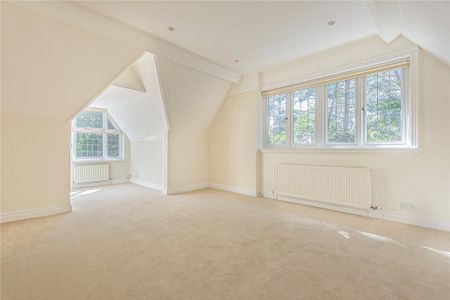 3 bedroom penthouse to rent - Photo 3