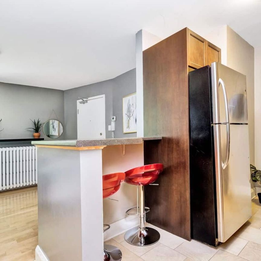 159 Frank St Ottawa Canada - Photo 1