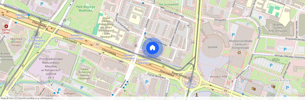 ul. Michała Grażyńskiego, Koszutka, Katowice, śląskie