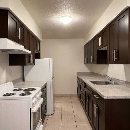 PET FRIENDLY 2 beds + 1 Bath Unit in Marpole - Photo 3