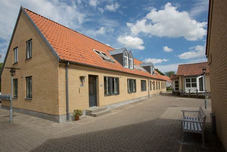 Gandrup - Photo 3