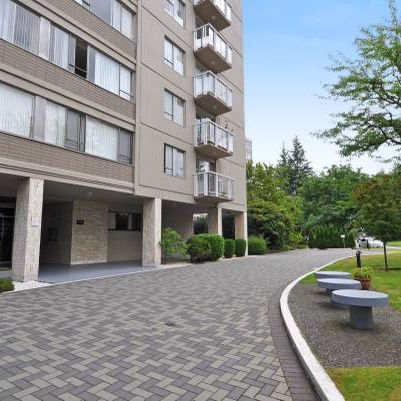 Renovated Large 1 Bedroom Suite near SkyTrain - Photo 4