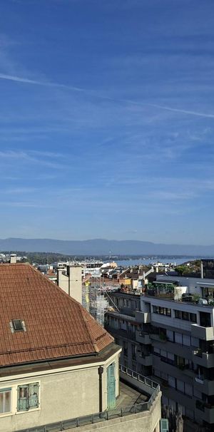Magnifique appartement en attique au coeur des Eaux-Vives - Photo 2
