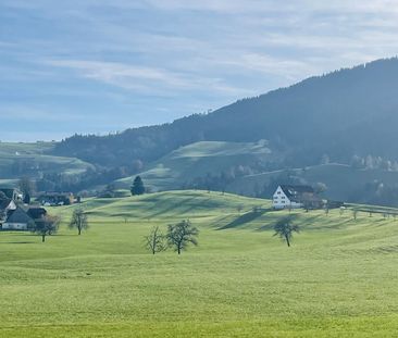 APPARTEMENT 1 PIÈCE MANSARDÉ À HÜTTEN (ZH), MEUBLÉ, TEMPORAIRE - Foto 2