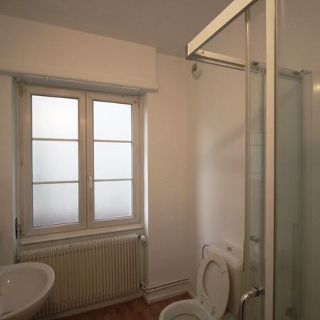 WOLFISHEIM - STUDIO RDC - Photo 4