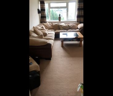 Room in a Shared Flat, Boldmere, B73 - Photo 5