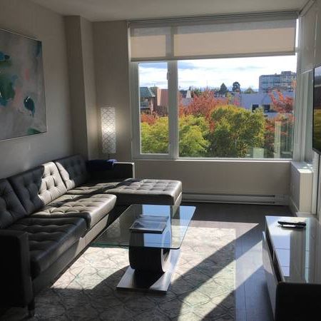 Legato 1Bdr Condo Furnished Central - Photo 3