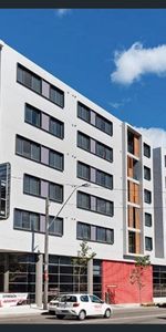 One Bedroom For Lease in Pyrmont - Photo 4