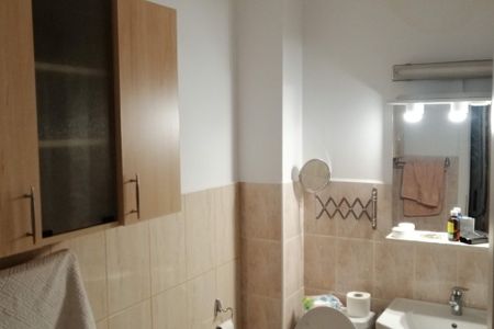 Apartament de inchiriat, 2 camere Alexandru cel Bun - Fotografie 4