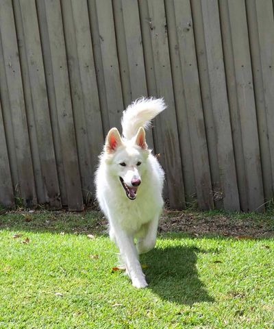 Mudgeeraba - Photo 3