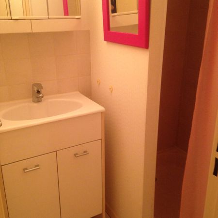 Appartement Toulouse 2 pièce(s) 30 m2, - Photo 3