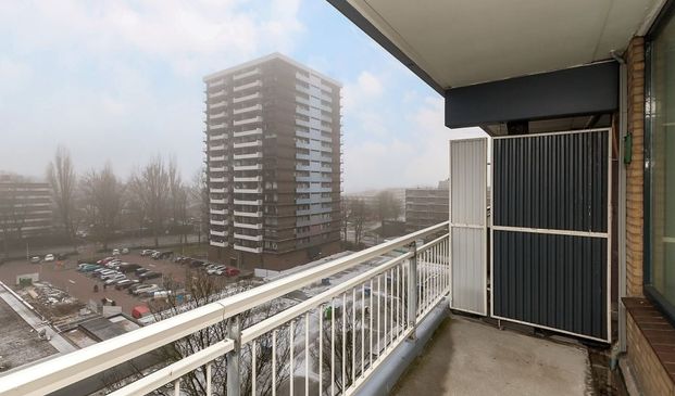 Apartment Amstelveen - Groenhof - Photo 1