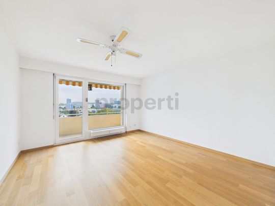 Attractive 3.5-room apartment in Solothurn with view to the Weissenstein - Photo 1