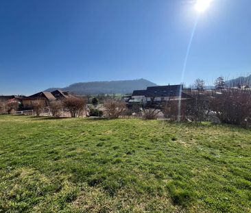 3.5 Zimmer, EG - Photo 4