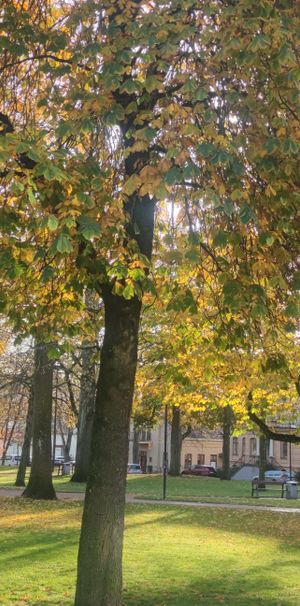 Rådhusgatan, Skövde - Foto 2