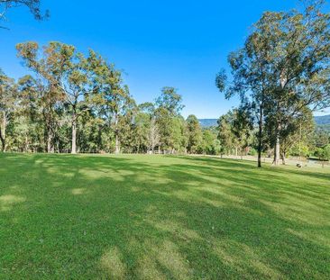 382 Maudsland Road, Maudsland, QLD 4210 - Photo 4