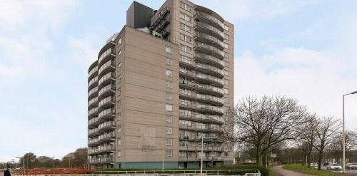 Den Uylsingel, 3066 Rotterdam, Nederland - Foto 2