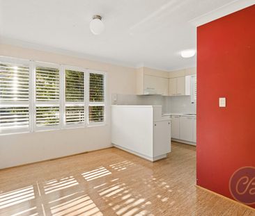 Spacious Living in the Heart of Taringa - Photo 5