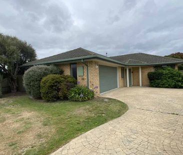 Sunny large 4 Bedroom in Wigram - Photo 4